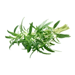 Summer Savory Seeds - Satureja hortensis - Culinary Herb - 20 Seed Pack - Image 9