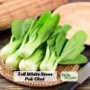 Tall White Stem Hybrid Pak Choi Seeds - High Yield Asian Vegetable - 20 Seeds - Image 1