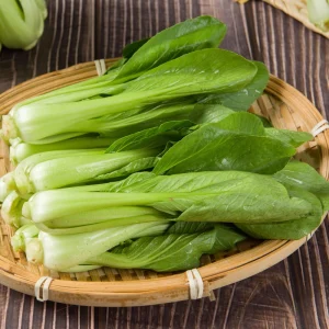 Tall White Stem Hybrid Pak Choi Seeds - High Yield Asian Vegetable - 20 Seeds - Image 4