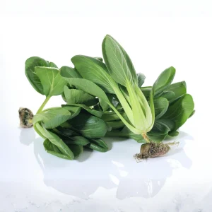 Tall White Stem Hybrid Pak Choi Seeds - High Yield Asian Vegetable - 20 Seeds - Image 9