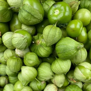 Tomatillo Seeds - Heirloom Green Husk Salsa Vegetable - 20 Seeds - Image 9