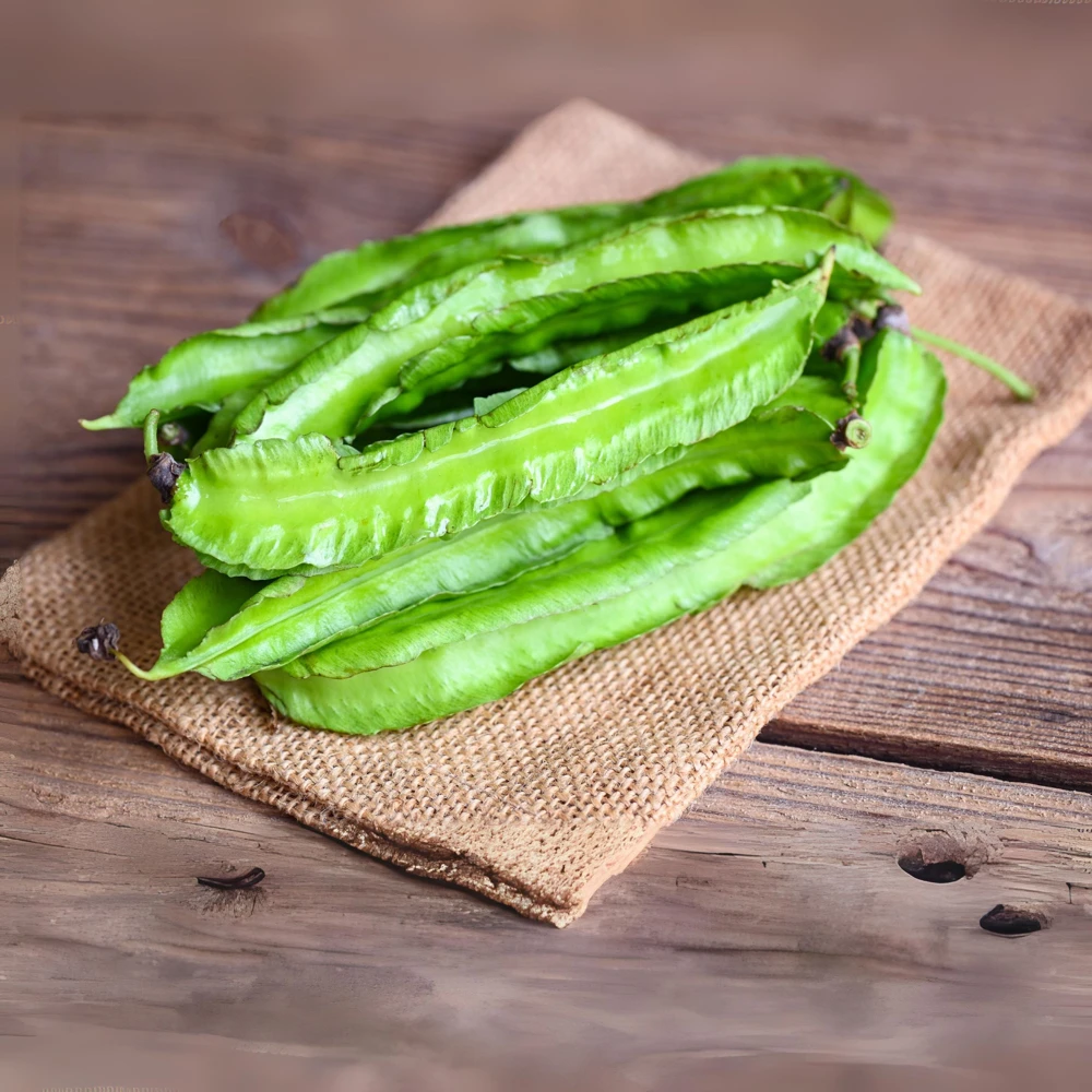 Winged Bean Seeds - 10 Count Pack - Fast Growing Tropical Vegetable - Image 17