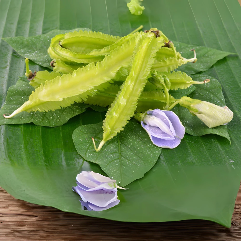 Winged Bean Seeds - 10 Count Pack - Fast Growing Tropical Vegetable - Image 7
