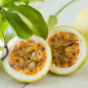 Yellow Passionfruit Vine Live Plant - 4-6 inch Tall - Edible Fruit - Image 1