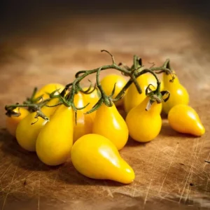 Yellow Pear Tomato Seeds - 30 Heirloom Non-GMO Pear Shaped Cherry Tomato Seeds - Image 7