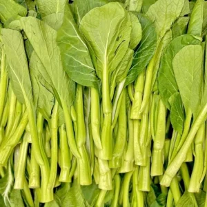 Yu Choy Sum Seeds - Heirloom Asian Greens - Fast Growing Vegetable - 20 Seed Pack - Image 13