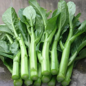 Yu Choy Sum Seeds - Heirloom Asian Greens - Fast Growing Vegetable - 20 Seed Pack - Image 16