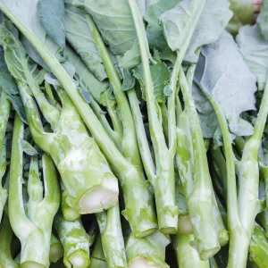 Yu Choy Sum Seeds - Heirloom Asian Greens - Fast Growing Vegetable - 20 Seed Pack - Image 3