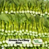 Yu Choy Sum Seeds - Heirloom Asian Greens - Fast Growing Vegetable - 20 Seed Pack - Image 1
