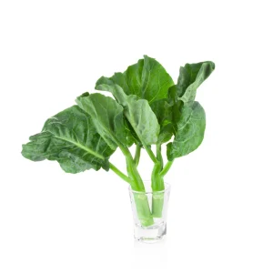Yu Choy Sum Seeds - Heirloom Asian Greens - Fast Growing Vegetable - 20 Seed Pack - Image 5