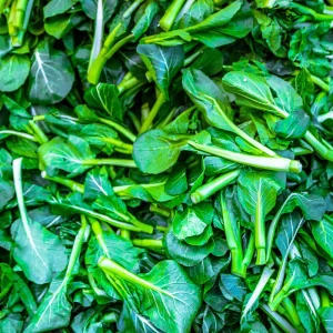 Yu Choy Sum Seeds - Heirloom Asian Greens - Fast Growing Vegetable - 20 Seed Pack - Image 8